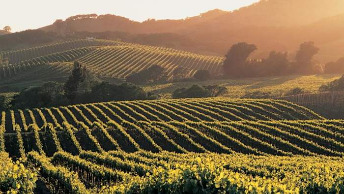 Image Courtesy of Four Seasons Resort and Residences Napa Valley